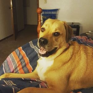 Meet your Posher, Bryant